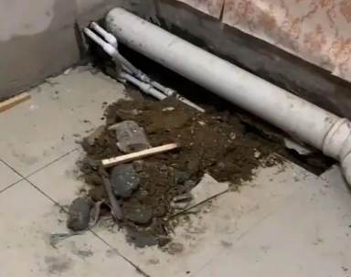 保靖卫生间漏水检测哪家好